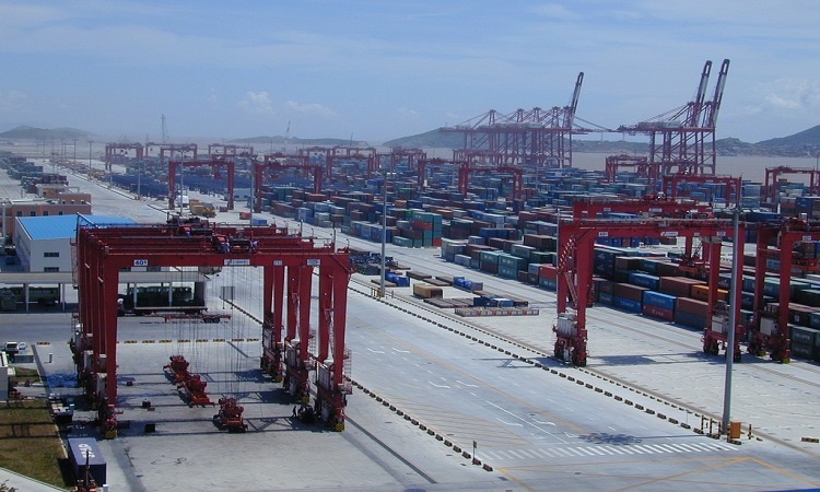 Freight rates to remain high till this year
