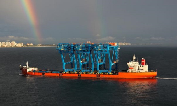 Giant container cranes