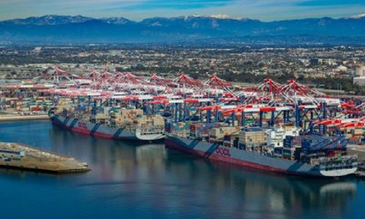 Port congestion caused by chronic box shortages in Asia, Europe and US